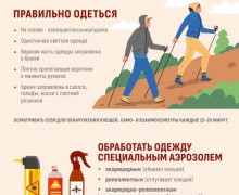 Жителям и гостям Свердловской области необходимо усилить меры защиты от клещей