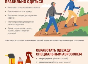 Жителям и гостям Свердловской области необходимо усилить меры защиты от клещей