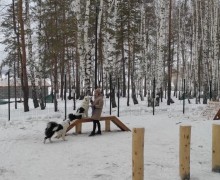 Собачья площадка на территории экопарка будет закрыта 