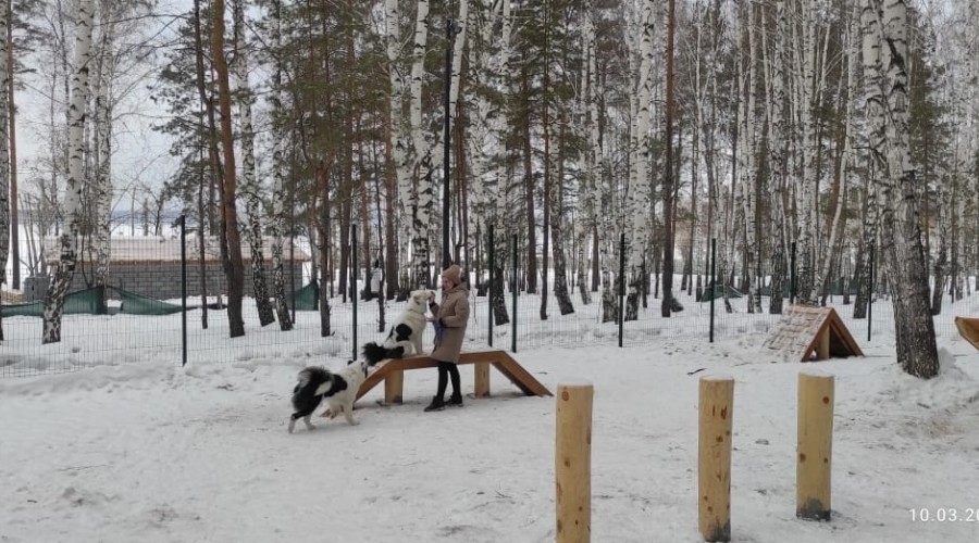 Собачья площадка на территории экопарка будет закрыта 