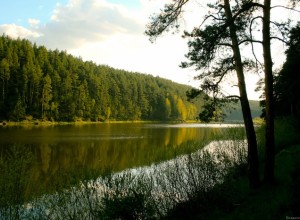 Тело 17-летней девушки, утонувшей в Пышме, обнаружено