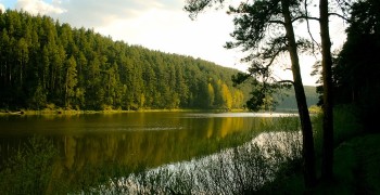 Тело 17-летней девушки, утонувшей в Пышме, обнаружено