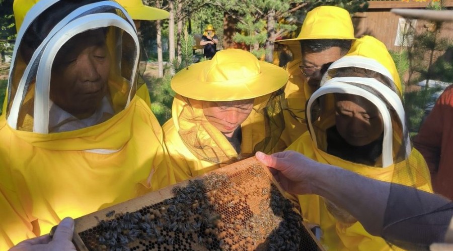 В Свердловской области разрабатываются международные туристические маршруты для привлечения гостей из Китая