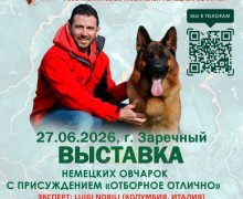 Афиша Заречного: фестиваль «Безумные дни», выставка немецких овчарок и «Алые паруса»