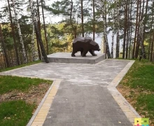К медведю, который живёт у смотровой площадки сделали удобную тропинку
