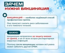 В Заречном советуют заранее подготовиться к сезону гриппа