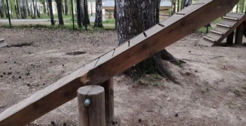 Вандалы повредили балансир на площадке для собак в экопарке Заречного