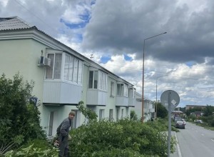 На улице Мира в Заречном проводят расчистку от кустарников