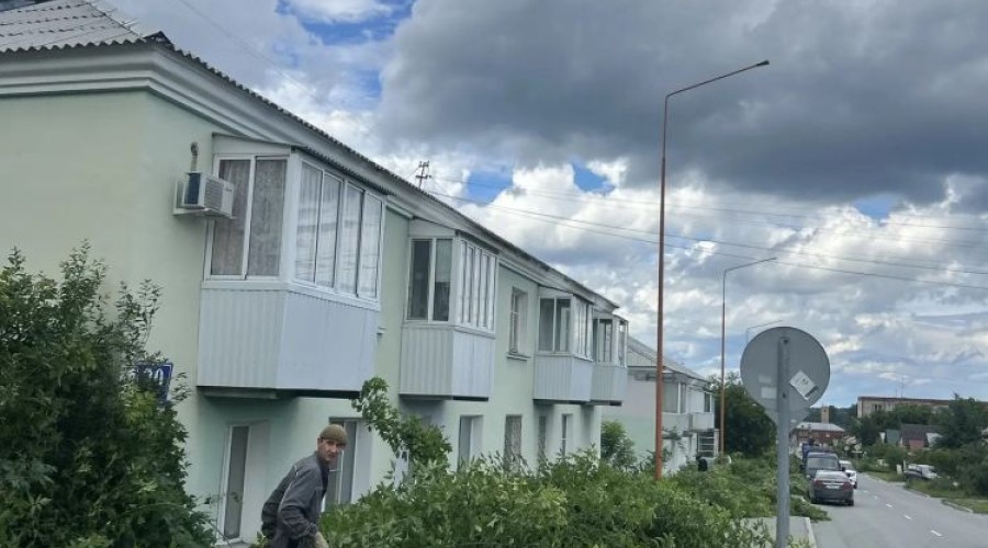 На улице Мира в Заречном проводят расчистку от кустарников