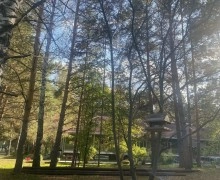 Отделение «Забота» в Заречном вновь открылось после ремонта