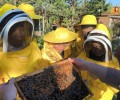 В Свердловской области разрабатываются международные туристические маршруты для привлечения гостей из Китая