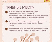 Судя по прогнозам синоптиков, нас ждут теплые выходные!