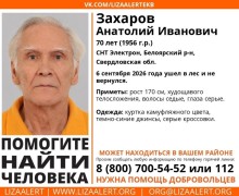 Поиски пожилого грибника в Белоярском районе продолжаются вторые сутки