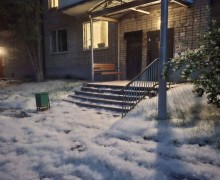 Вам кажется, что в Екатеринбурге многовато тополиного пуха?