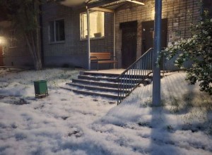 Вам кажется, что в Екатеринбурге многовато тополиного пуха?