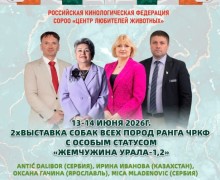 Выставка собак «Жемчужина Урала» пройдёт на стадионе «Электрон» в Заречном