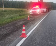 На трассе Екатеринбург — Тюмень сбили пешехода, водитель скрылся