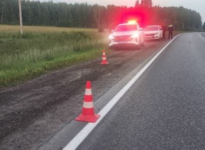 На трассе Екатеринбург — Тюмень сбили пешехода, водитель скрылся