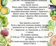 «Забота» проводит акцию «Урожайная корзина» для нуждающихся зареченцев