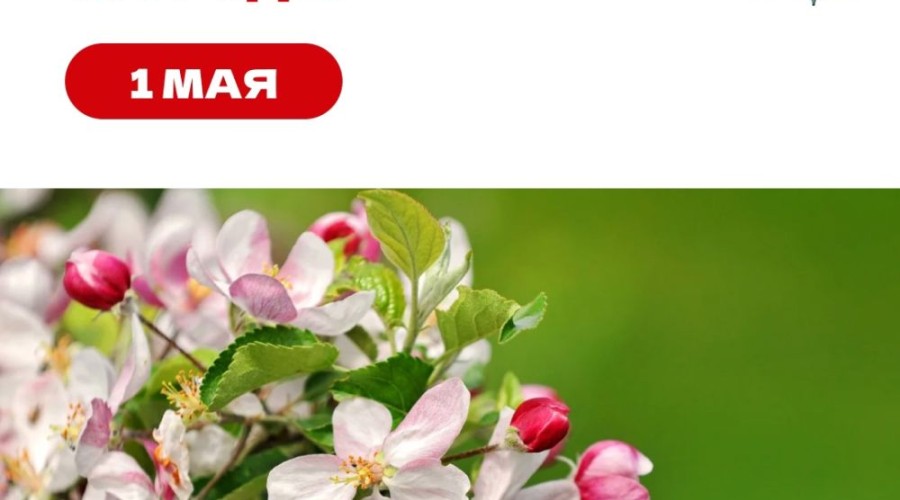 С праздником Весны и Труда!