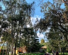 Кажется, последний день лета на Среднем Урале выпал на 23 сентября