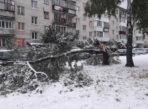 В Заречном устраняют последствия снегопада