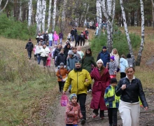 Отличный день для прогулки!