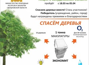 «Сдай макулатуру – спаси дерево».