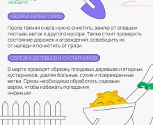 Начало весны: пора оживлять ваш сад