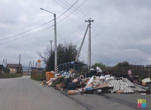Кто должен вывозить древесные отходы в Заречном: разъяснения и варианты