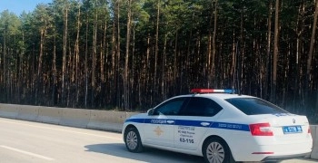 В Заречном пройдут рейдовые мероприятия для снижения аварийности с участием нетрезвых и не имеющих прав водителей