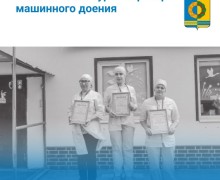 С началом новой недели!