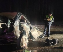 За сутки в Свердловской области произошло 150 ДТП, 3 человека погибли