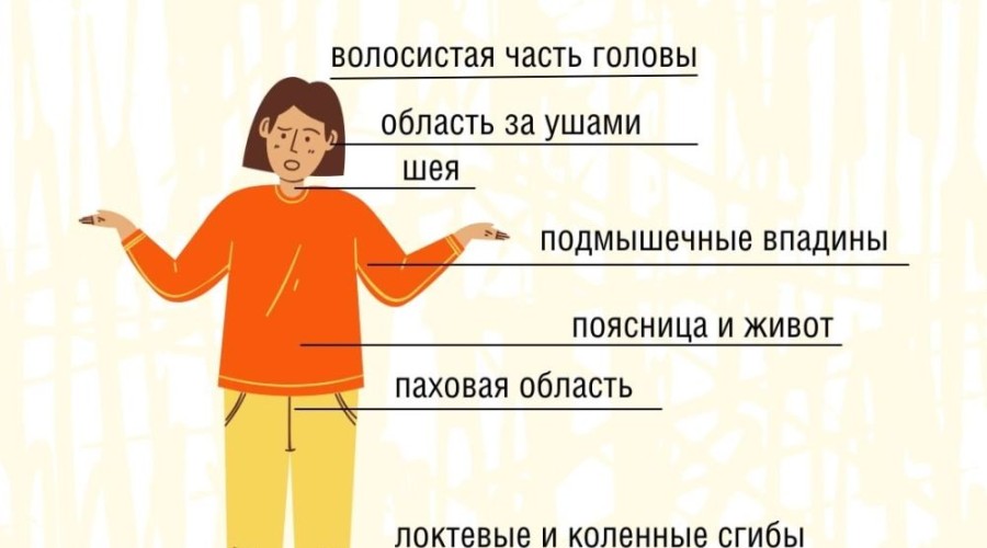 Клещи стали реже нападать на людей, но полностью они ещё не исчезли