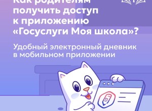 Свердловские школы переходят на единое приложение электронного дневника