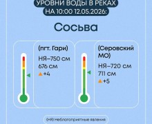 Весеннее половодье в Свердловской области: ситуация на 7 затопленных мостах и 19 населённых пунктах