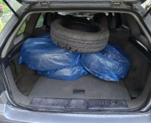 Nissan Primera, 