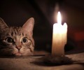 Заречный: когда включат освещение на площади?