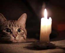 Заречный: когда включат освещение на площади?
