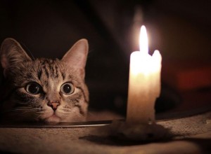 Заречный: когда включат освещение на площади?