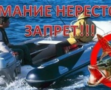 В России вводится нерестовый запрет: ограничения для рыбаков на Урале