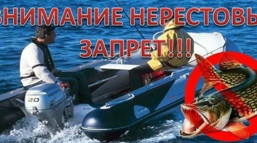 В России вводится нерестовый запрет: ограничения для рыбаков на Урале