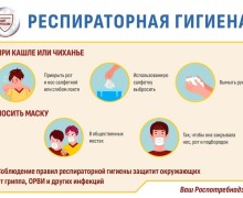 Коллеги кашляют, но не уходят на больничный?