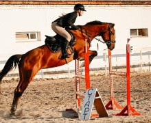 Конники из Заречного взяли награды на «Осеннем Кубке» в КСК «Темп»
