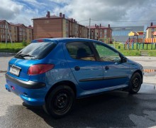 Peugeot 206, 2007