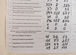 Ладейщикова победила в округе №17 и стала депутатом Думы восьмого созыва