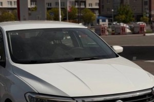 Volkswagen Polo, 2020