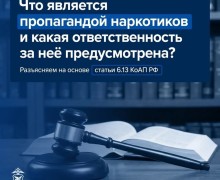 Ответственность за пропаганду наркотиков: напоминание жителям Заречного