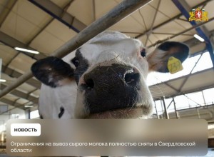 В Свердловской области отменены ограничения на вывоз сырого молока