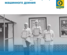 С началом новой недели!